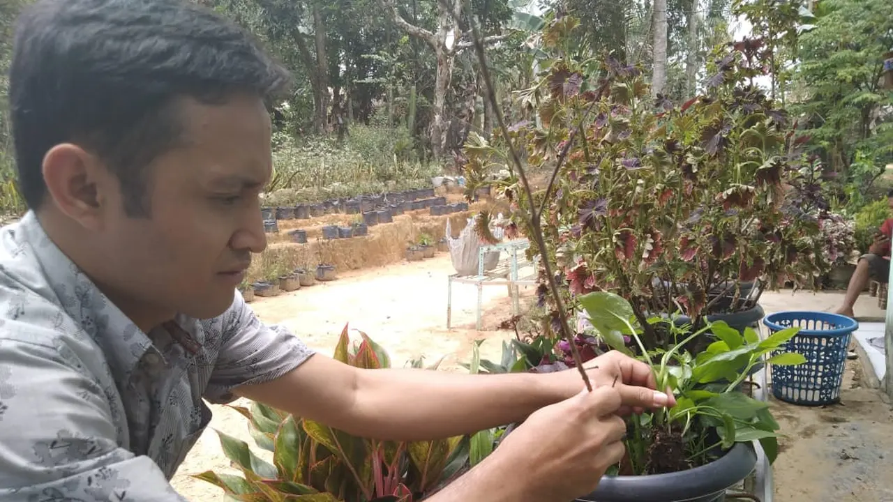 Tanaman Obat dan Harapan Hidup Warga Desa Gajah Mati Musi Banyuasin