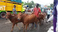 Salah satu Pasar Hewan ternak sapi di Kabupaten Probolinggo (Istimewa)