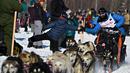 Dallas Seavey membungkuk untuk melakukan high-five saat Iditarod Sled Dog Race di Deshka Landing di Willow, Alaska, Minggu (7/3/2021). Jarak yang harus ditempuh biasanya hampir 1.000 mil dan tahun ini dikurangi menjadi sekitar 100 mil. (Marc Lester/Anchorage Daily News via AP)