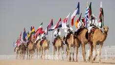 Parade unta dengan bendera saat Kontes Kecantikan Unta di Qatar Camel Mzayen Club, Ash-Shahaniyah, Qatar, 2 Desember 2022. Bersamaan dengan pesta sepak bola Piala Dunia 2022, Qatar juga menggelar Kontes Kecantikan Unta. (AP Photo/Alessandra Tarantino)