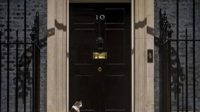 Larry si kucing Downing Street 10, teman Perdana Menteri baru Inggris, Keir Starmer. (AP/ File)