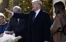VIDEO: Trump Ancam Perang Dagang Untuk Rusia, Desak Putin Setop Serang Ukraina