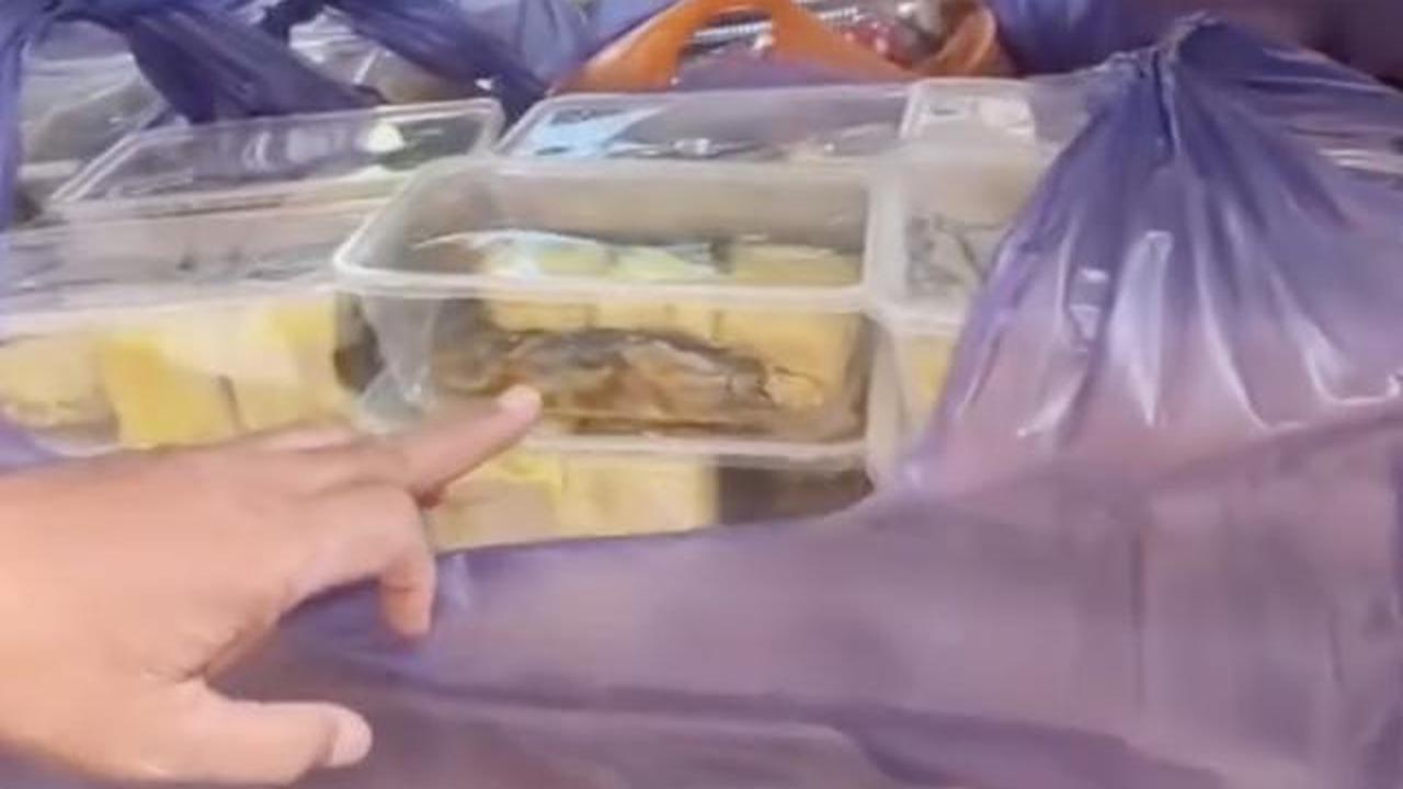 Viral Video Menu MBG Lele Disebut Masih Hidup Ditolak SMA Pamekasan. (tangkapan layar instagram)