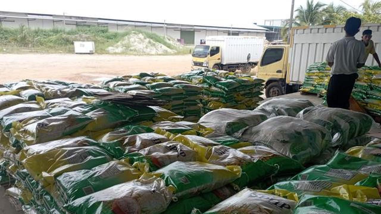 Harga Minyakita Sentuh Rp16.700 per Liter Jelang Natal dan Tahun Baru