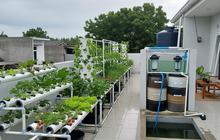 8 Kebun Hidroponik di Atap Rumah Agar Lahan Sempit Tetap Produktif, Panen Sayur Tanpa Perlu Lahan Luas