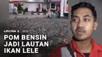Warga Ogan Komering Ilir, Sumatra Selatan, geger, ada dua ekor gajah liar masuk ke pasar. Sementara itu sebuah pom bensin di Klaten, Jawa Tengah menjelma menjadi lautan lele, karena ribuan ikan lele hidup tumpah dari truk yang membawanya.