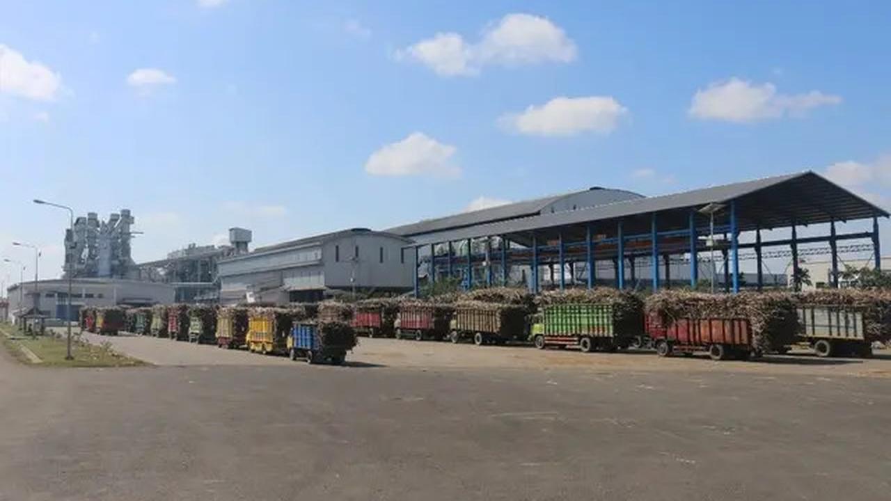 Capai Swasembada Gula, BUMN Perkebunan Harus Berdayakan Petani Tebu