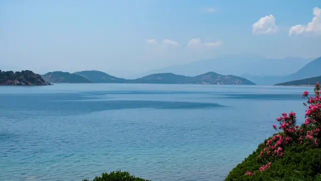 Kenapa ‘Bola Neptunus’ Penuh Plastik Mulai Bermunculan di Pantai?