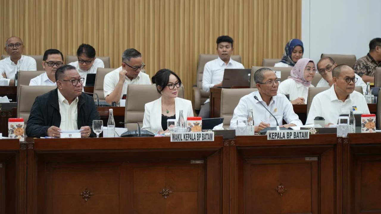 Gerak Cepat Tangani Banjir, BP Batam Dapat Apresiasi dari DPR RI