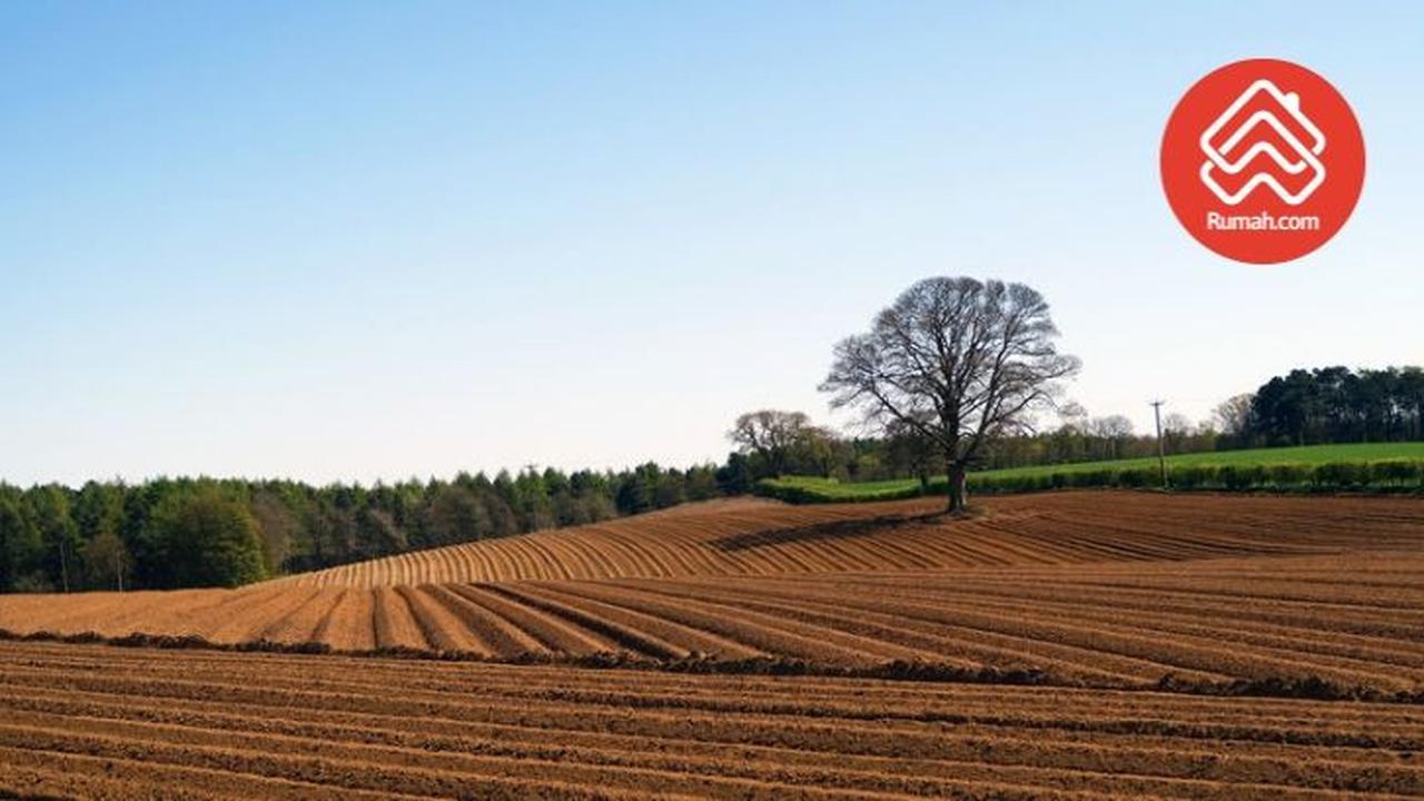 Inventarisasi Lahan Masih Dirampungkan