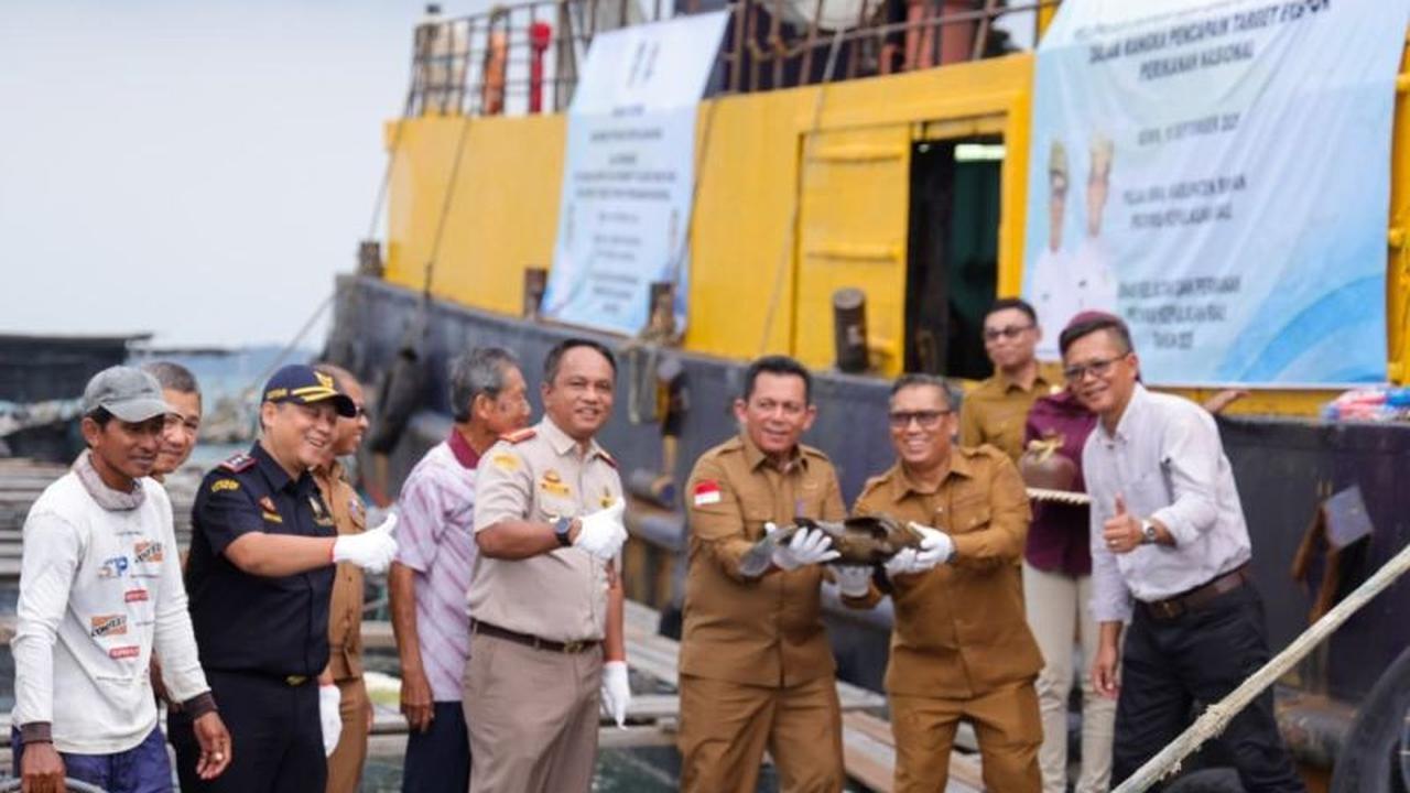 Sempat Terhenti 7 Bulan, Ekspor Ikan Kerapu Kepri ke Hong Kong Kembali Dibuka, Potensi Rp3 Miliar Per Bulan Hilang