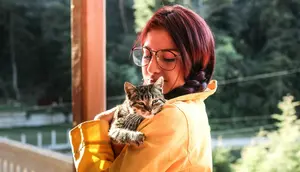 Cara Memanggil Kucing yang Hilang agar Mau Keluar dan Pulang