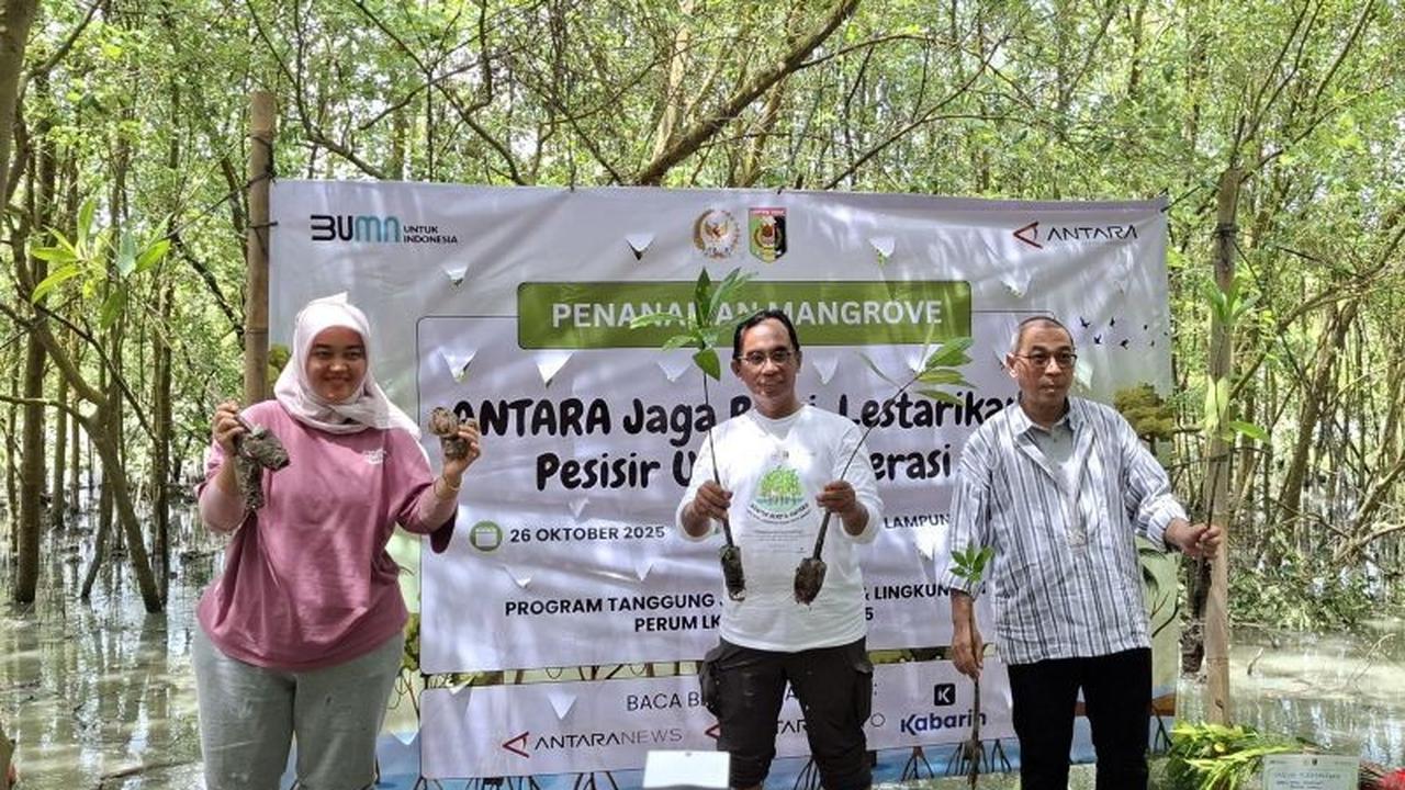 Bukan Sekadar Pohon Buah, Rehabilitasi Mangrove ANTARA di Lampung Timur Jaga Ekosistem dan Cegah Abrasi