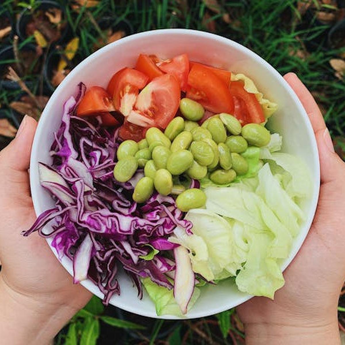 Penelitian Terbaru Ungkap Menu Diet yang Bisa Perpanjang Usia Hingga di Atas 100 Tahun