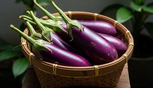 Inspirasi Kebun Terong di Pot untuk Teras Rumah Minimalis (Sumber: gemini.com)