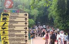 Ragunan Buka Kembali Usai Libur Lebaran, Tawarkan Program Pemberian Makan Satwa
