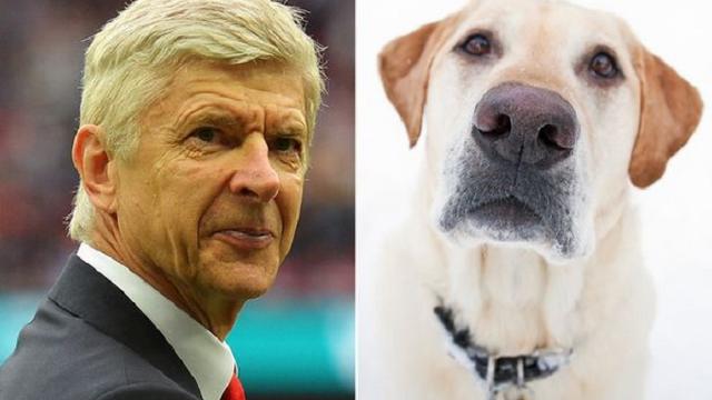 Arsene Wenger (Mirror)