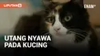 Seekor kucing mendadak jadi pusat perhatian di Inggris. Hewan tersebut berhasil selamatkan nyawa pemiliknya saat hilang kesadaran dengan membunyikan alarm.