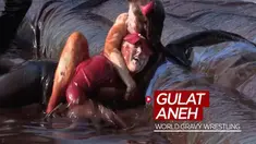 Berita video mengupas salah satu ajang gulat paling aneh di dunia, World Gravy Wrestling Championship, di mana pegulat amatir bertarung bersama lumuran makanan.