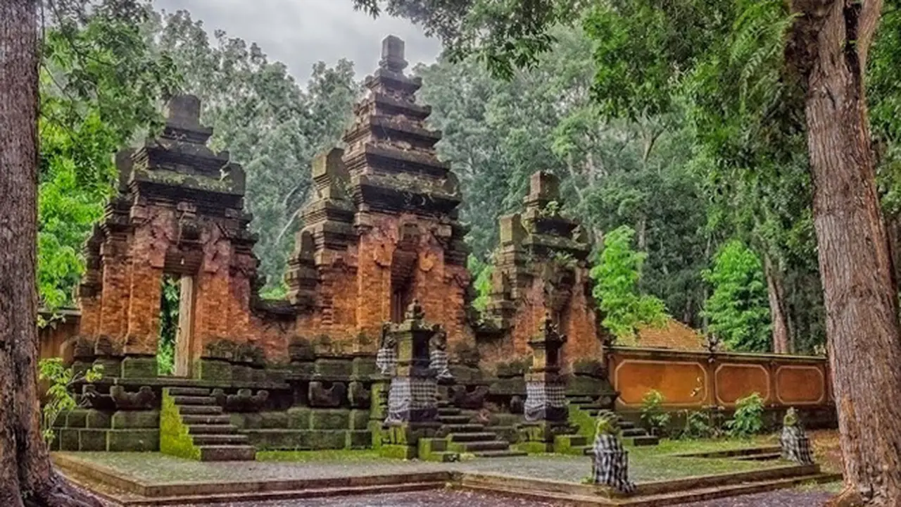 4 Keelokan Alam Dibalik Keangkeran Alas Purwo