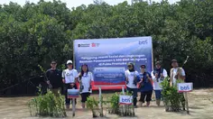 Hari Mangrove Sedunia, 2.500 Bibit Ditanam di Pulau Pramuka