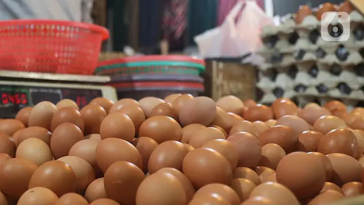 Berapa Kg yang Bisa Anda Turunkan Dengan Diet Telur? Simak Sederet Faktanya di Sini!