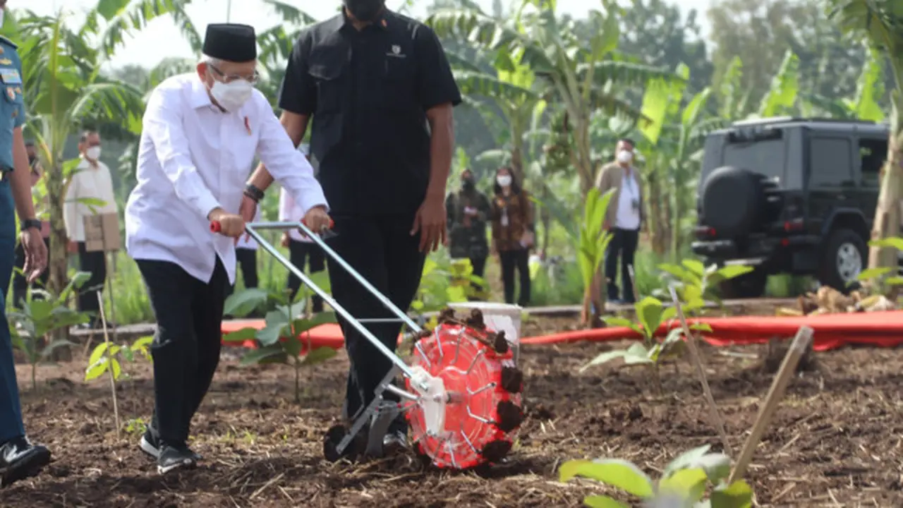 Wapres Ma'ruf Amin Ajak Masyarakat Jabar Bertani dengan Konsep Integrated Farming
