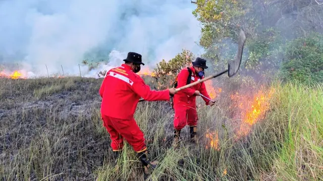 Kebakaran hutan di Konawe Selatan, mengakibatkan kabut asap dan lahan  terbakar seluas 6 hektar.(Liputan6.com/Ahmad Akbar Fua)