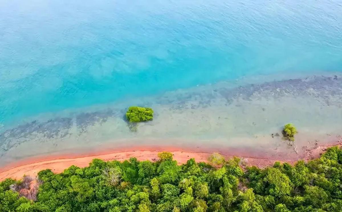 10 Potret Penampakan Viral Pulau Dijual Rp 12 Miliar, Ini Lokasinya
