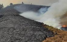 Kebakaran Bukit Teletubbies Bromo Diduga Akibat Flare Prewed, Manajer Wedding Organizer jadi Tersangka