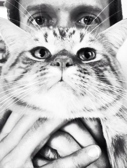 Kucing dan Jason Mraz, mana yang lebih bikin gagal fokus? (instagram/jason_mraz)