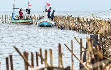 Akui Kurang Pengawasan Saat Pagar Laut Masif Dibangun 2024,  Menteri KKP Mengira untuk Penangkaran Kerang