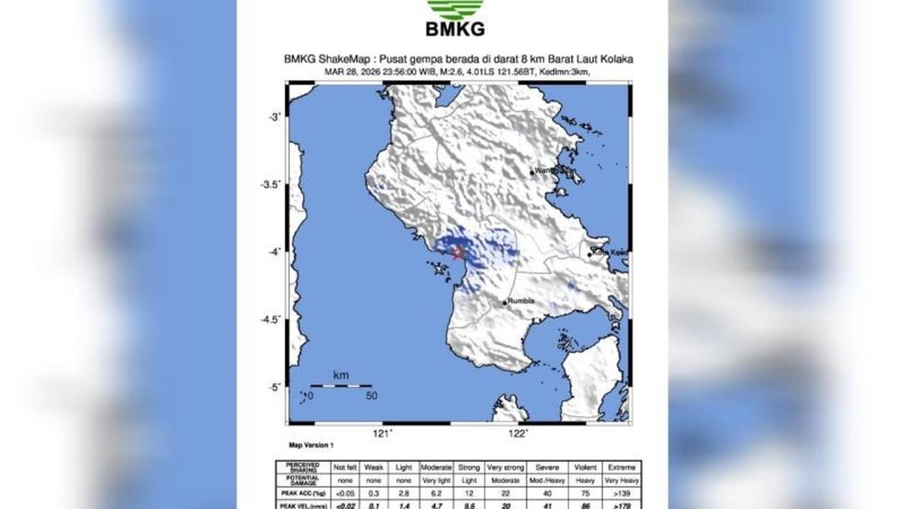 Gempa Kolaka M 2.6 Akibat Sesar Aktif, BMKG Pastikan Tidak Berpotensi Tsunami