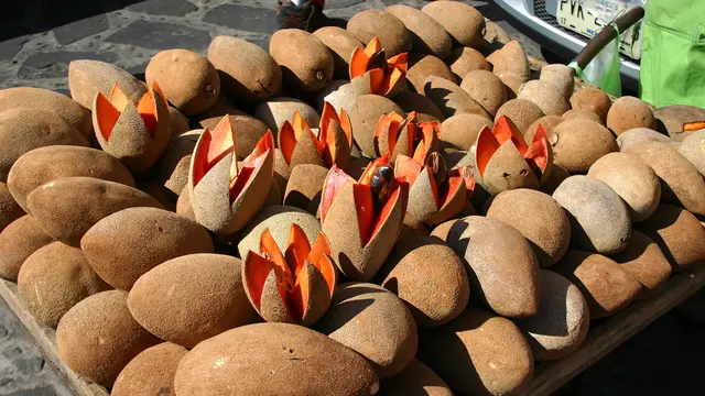 Pohon Buah yang Nilai Jual Bibitnya Lebih Mahal Daripada Buahny