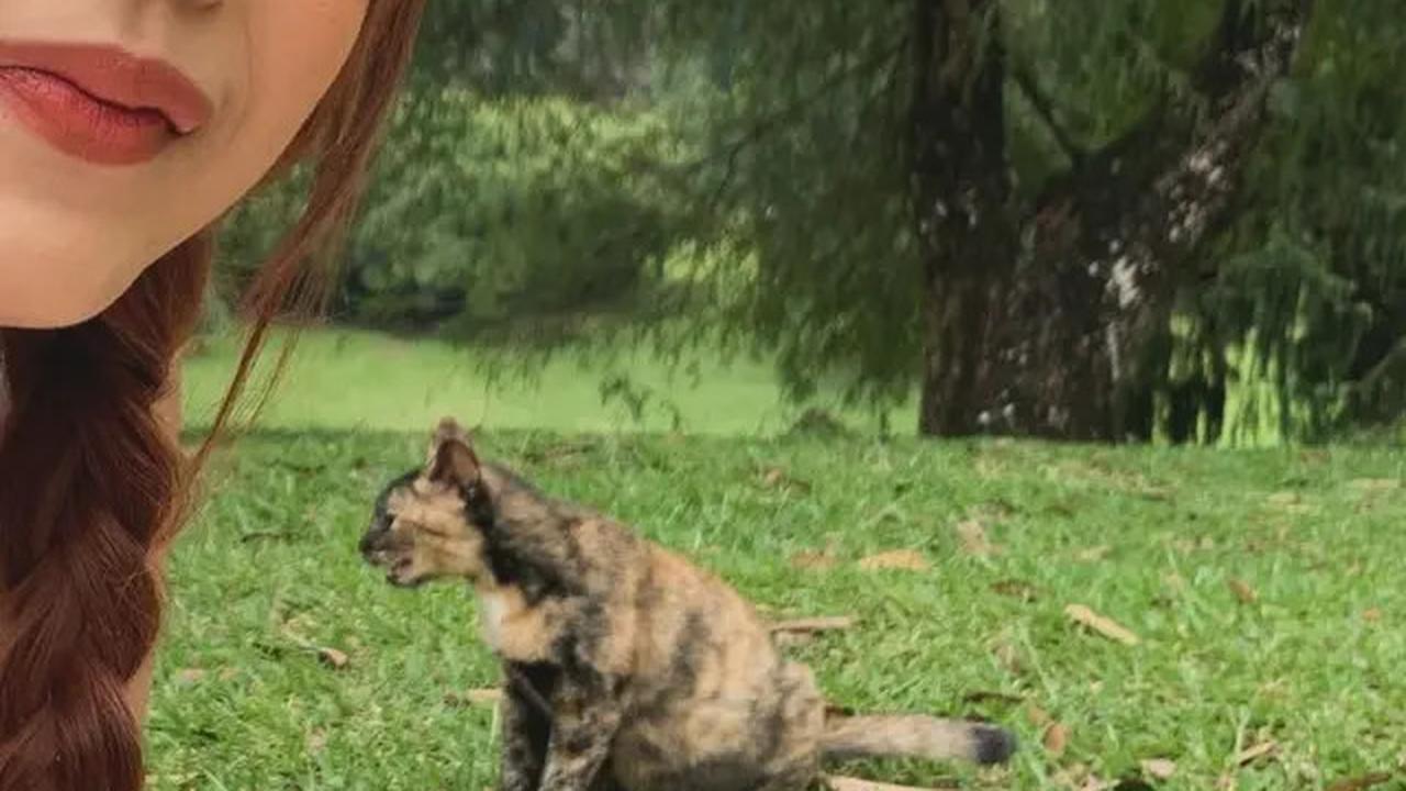 7 Potret Nadin Amizah Dilamar Faishal Tanjung di Taman, Romantis Pamer Cincin