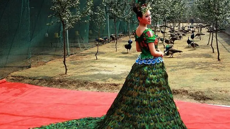 Vera wang peacock dress hot sale