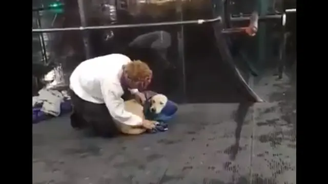 Bikin Salut, Pria Ini Pakaikan Rompi Miliknya kepada Seekor Anjing yang Kedinginan