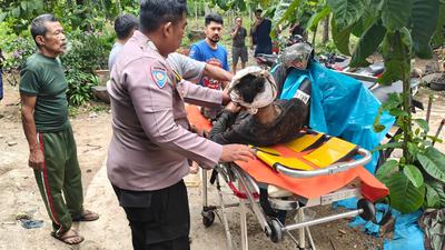 Detik-Detik Pekerja PU Bandung Tertimbun Longsor di Cisaranten