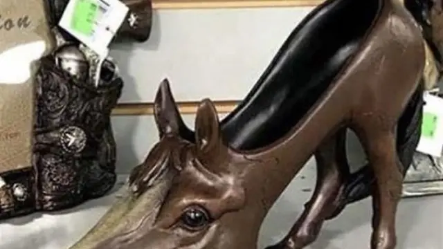 Sepatu aneh dan unik (photo: Instagram crimesagainstshoemanity/boredpanda)