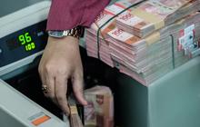 PT Timah Tebar Dividen Tunai Rp 656,8 Miliar, Simak Jadwalnya