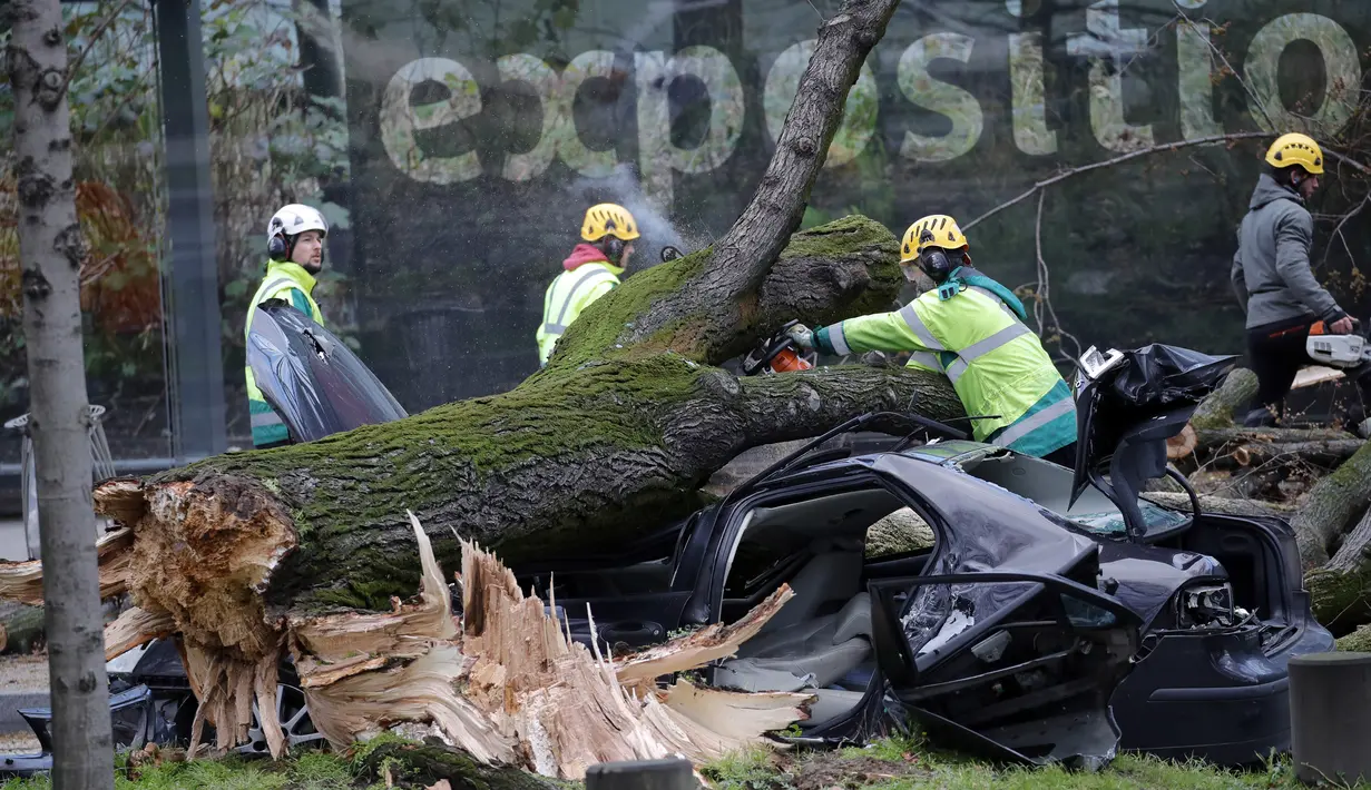 Petugas penyelamat membersihkan lokasi setelah sebuah pohon menimpa mobil di Paris, Kamis (27/2/2020).  Angin kencang menumbangkan pohon besar hingga menimpa sebuah mobil di dekat Menara Eiffel dan menewaskan pengemudi di tempat. (Benoit Moser/BSPP via AP)