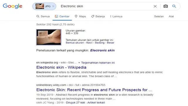 Gambar Tangkapan Layar Penelusuran dengan Google Reverse Image
