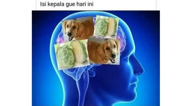 Deretan Meme Kocak Lagu Sayur Kol, Siap-Siap Ketawa Geli