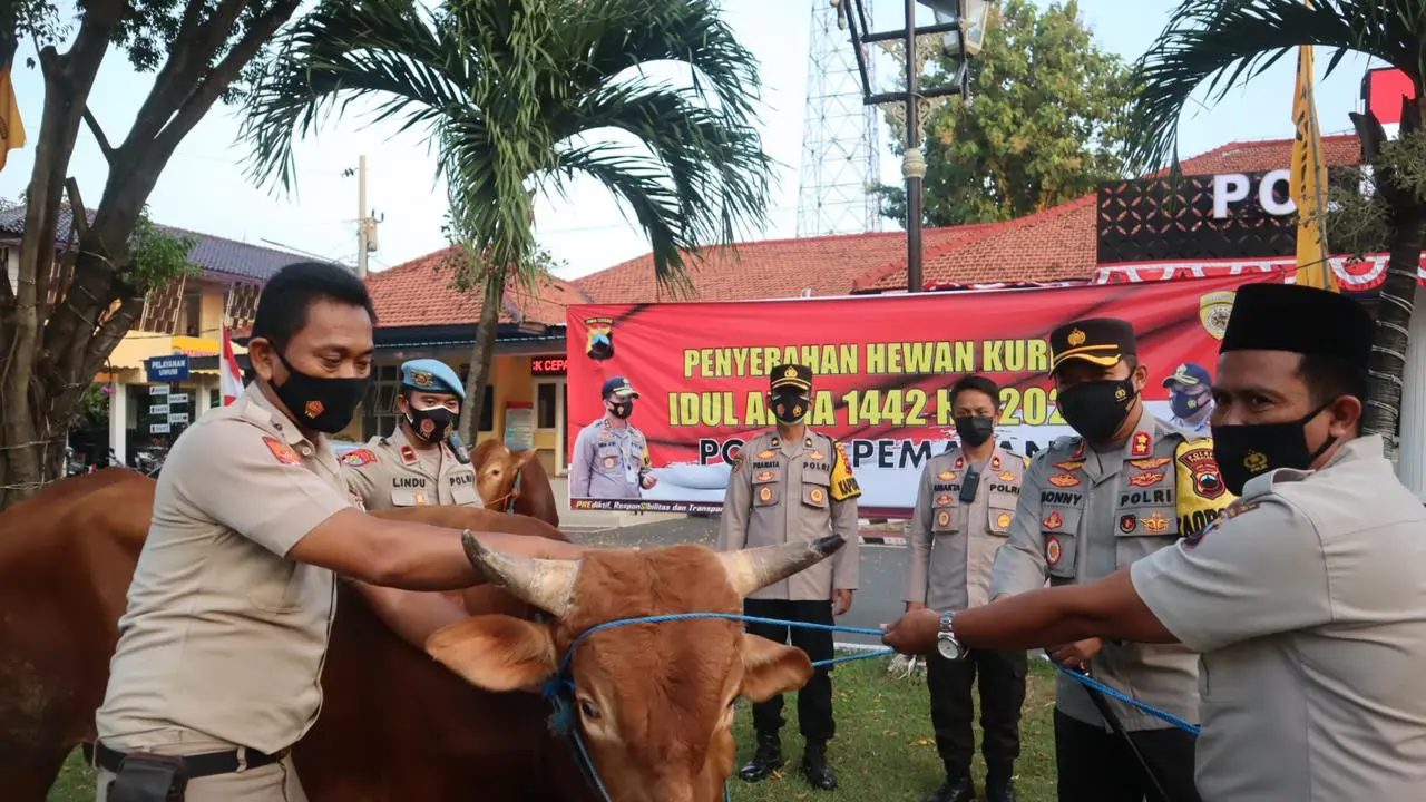 Polres Pemalang membagikan sebanyak 21 hewan kurban untuk masjid dan musala. (Foto: Liputan6.com/Humas Polres Pemalang)