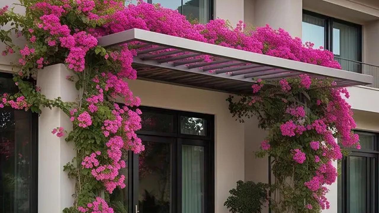 7 Tanaman Balkon Anti Layu, Tetap Cantik Meski Terik Matahari