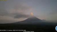 Gunung Semeru Erupsi Rabu 1 April 2026, 16 Kali Letusan dalam 6 Jam dengan Kolom Abu 700 Meter
