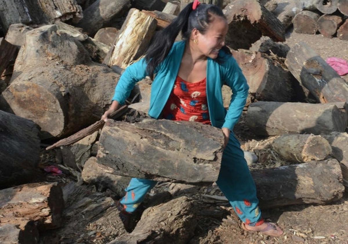 Krisis BBM, pemerintah Nepal jual kayu bakar