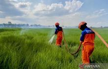 Fakta Unik: BMKG Prediksi Puncak Hujan November 2025, BPBD Kalsel Pertimbangkan Cabut Status Darurat Karhutla