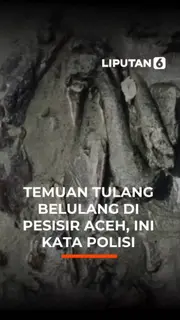 Temuan Tulang Belulang di Pesisir Aceh, Ini Kata Polisi