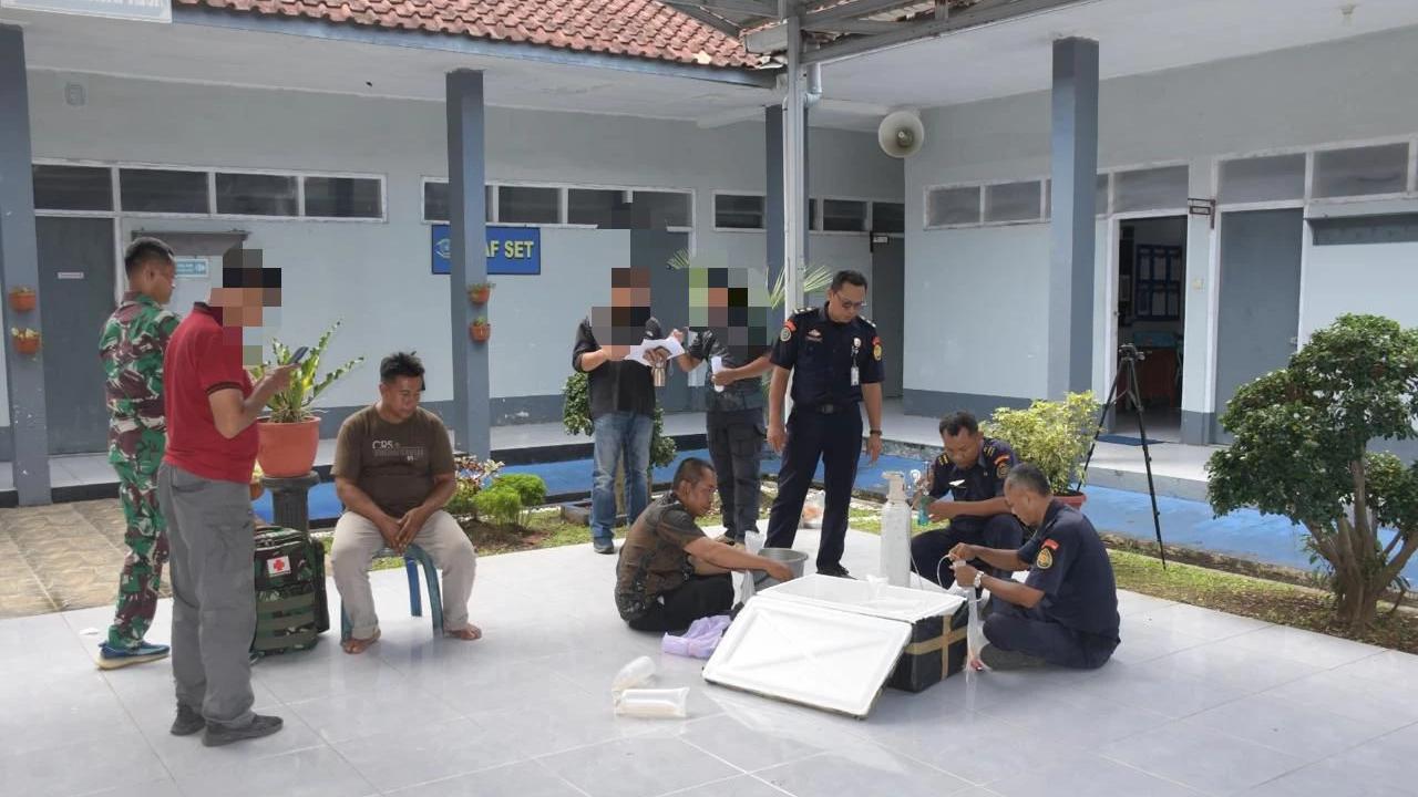 TNI AL Gagalkan Penyelundupan Benih Bening Lobster Ilegal, Nilainya Capai Rp2,5 Miliar